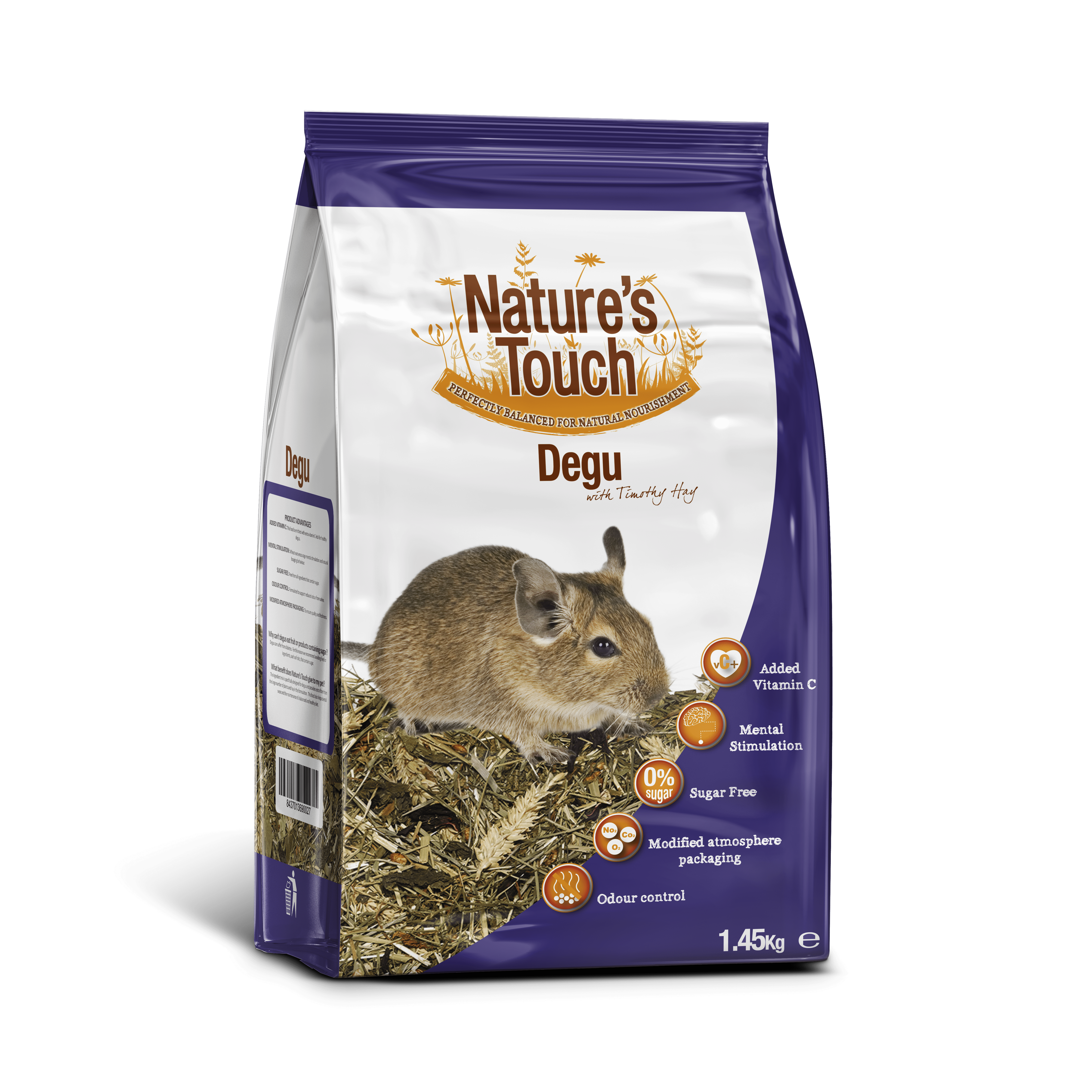 Degu - Image 2