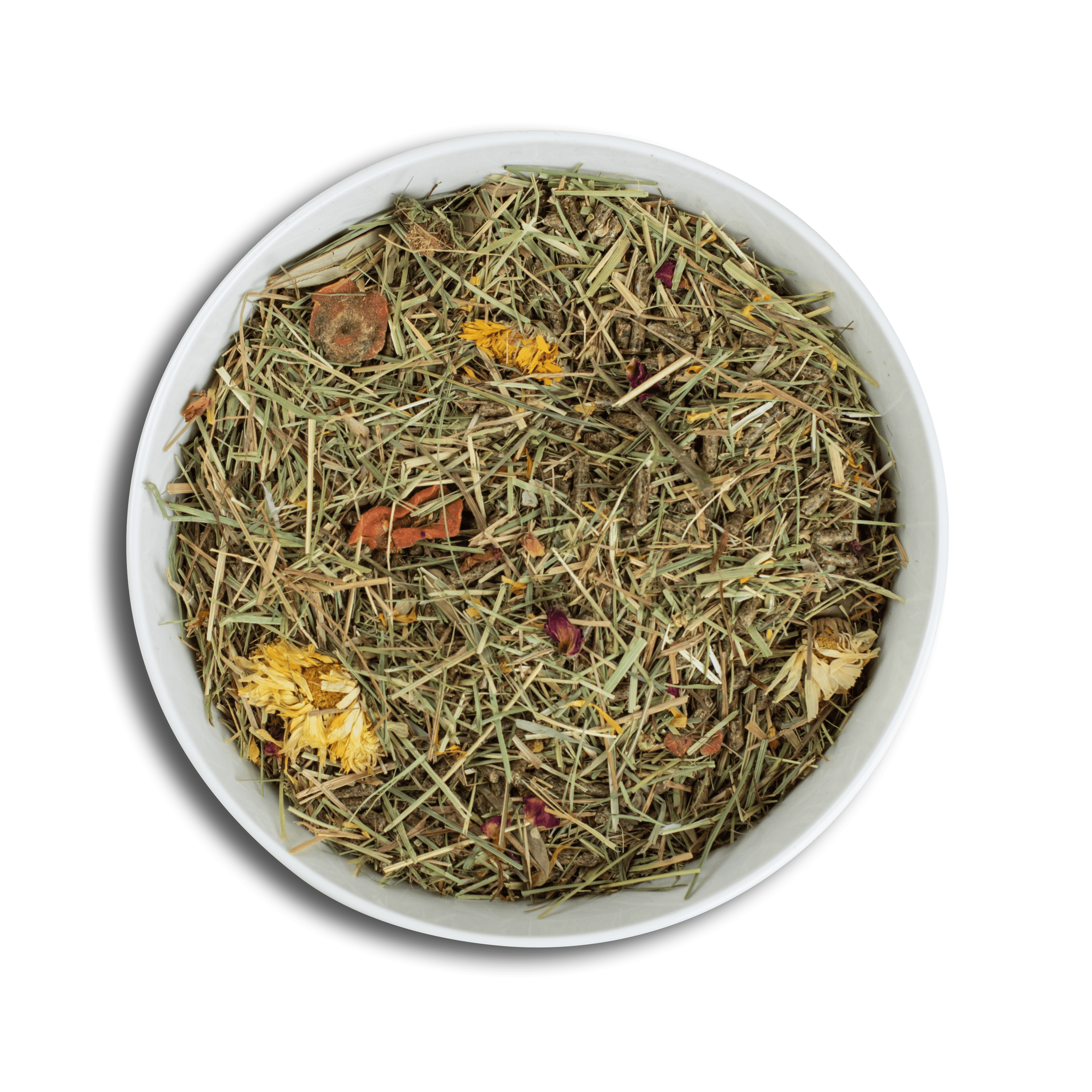 Degu - Image 3