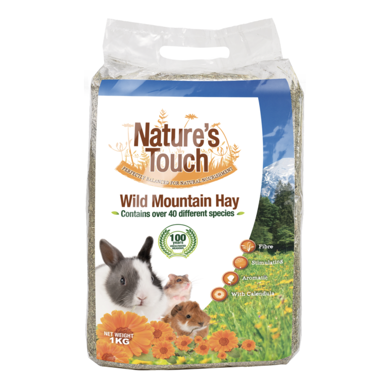 PAHWILD_Mockup heno wild mountain_1